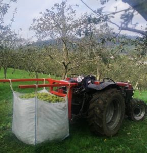 Tractor recogiendo la manzana en la Finca Turismo Faces