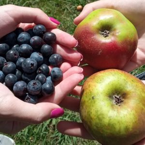 Arándanos y manzanas