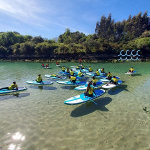 Campamentos de verano