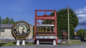 Entrada Sidra Viuda de Angelón