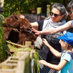 familia-visita-queseria-los-caserinos