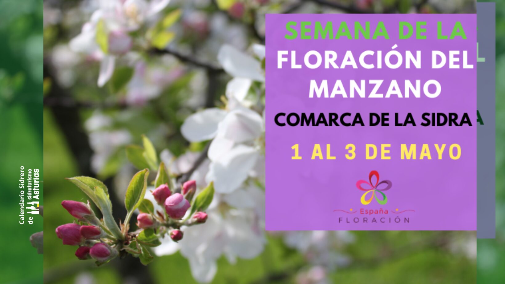 Cabecera - Semana de la Floración, Comarca de la Sidra