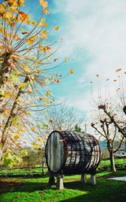 tonel-sidra Tonel de sidra en el exterior. Foto de Pelayo Lacazette cedida por Turismo Asturias