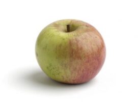 Variedad de manzana Amariega