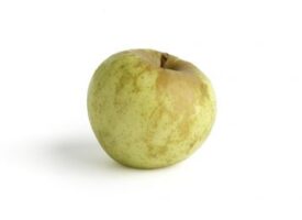 Variedad de manzana Blanquina
