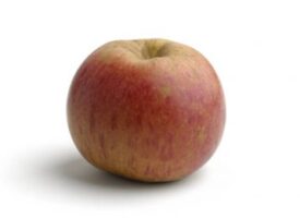 Variedad de manzana Carrió